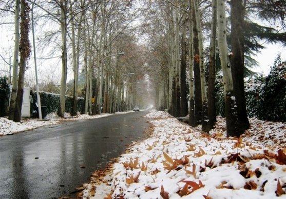 برف و باران ۵ روزه در ۱۴ استان/ افزایش آلودگی هوا در شهرهای صنعتی