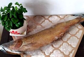 طرز تهیه ماهی دودی خوشمزه