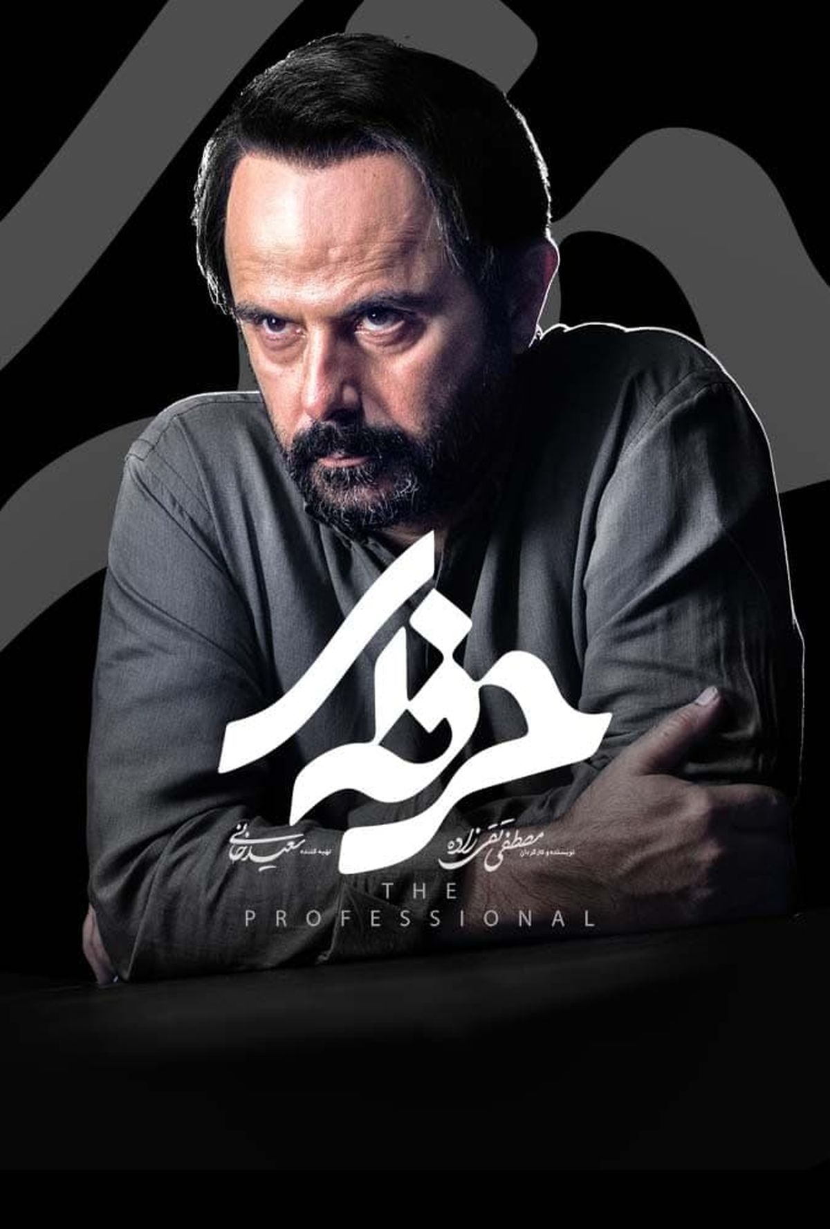 دانلود قسمت ششم حرفه ای| دانلود سریال حرفه ای قسمت 6