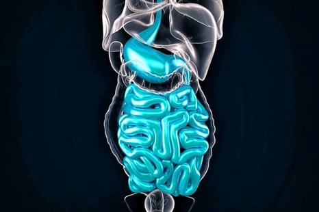 قرص های برطرف کننده سریع اسهال و دلپیچه