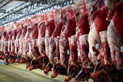 زارعی: گوشت الاغ و اسب می‌فروشند، اما زیاد نیست/ استفاده از گوشت گربه برای سوسیس و کالباس واقعیت دارد؟!