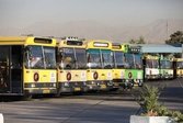اعزام ۱۳۰ دستگاه اتوبوس زائران اربعین از کاشان به مهران تاکنون