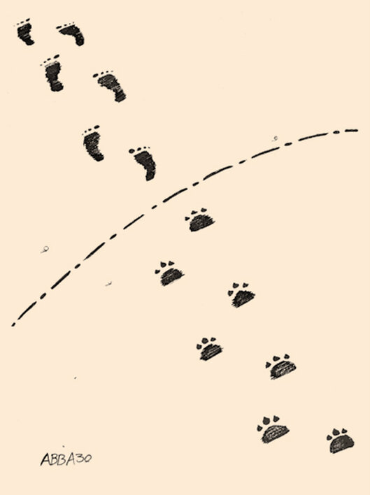 بدون شرح