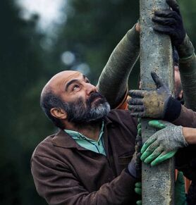 ناکامی ایران ادامه دارد