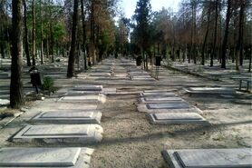 مردن به وقت  ساکن طبقه حساس