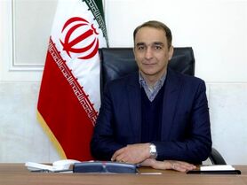 تاب پرنده ناژوان روی صندلی داغ