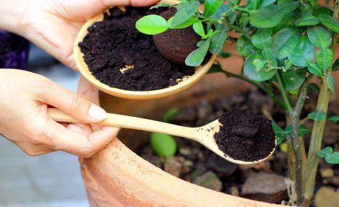 تجربه نجات اصفهان از شیرابه پسماندهای شهری