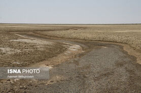  مرز فاجعه