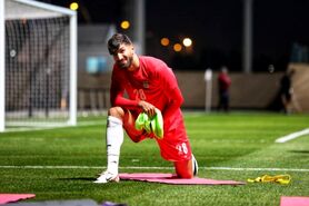 شهریار تشنه گلزنی در جام ملت ها