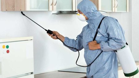 بهترین زمان و شرکت سمپاشی منازل در اصفهان کیست و چه موقع است ؟