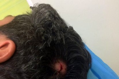 مجروح شدن محیط‌بان اصفهانی توسط متخلفان شکار