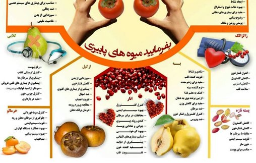 معرفی خواص جادویی میوه های پاییزی +اینفوگرافی