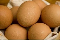نکاتی در زمینه تخم‌مرغ