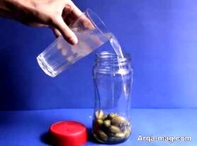 طرز تهیه زیتون شور خانگی با دو روش متفاوت