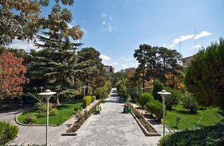 آغاز عملیات اجرایی بوستان جنگلی شهید روح الامین