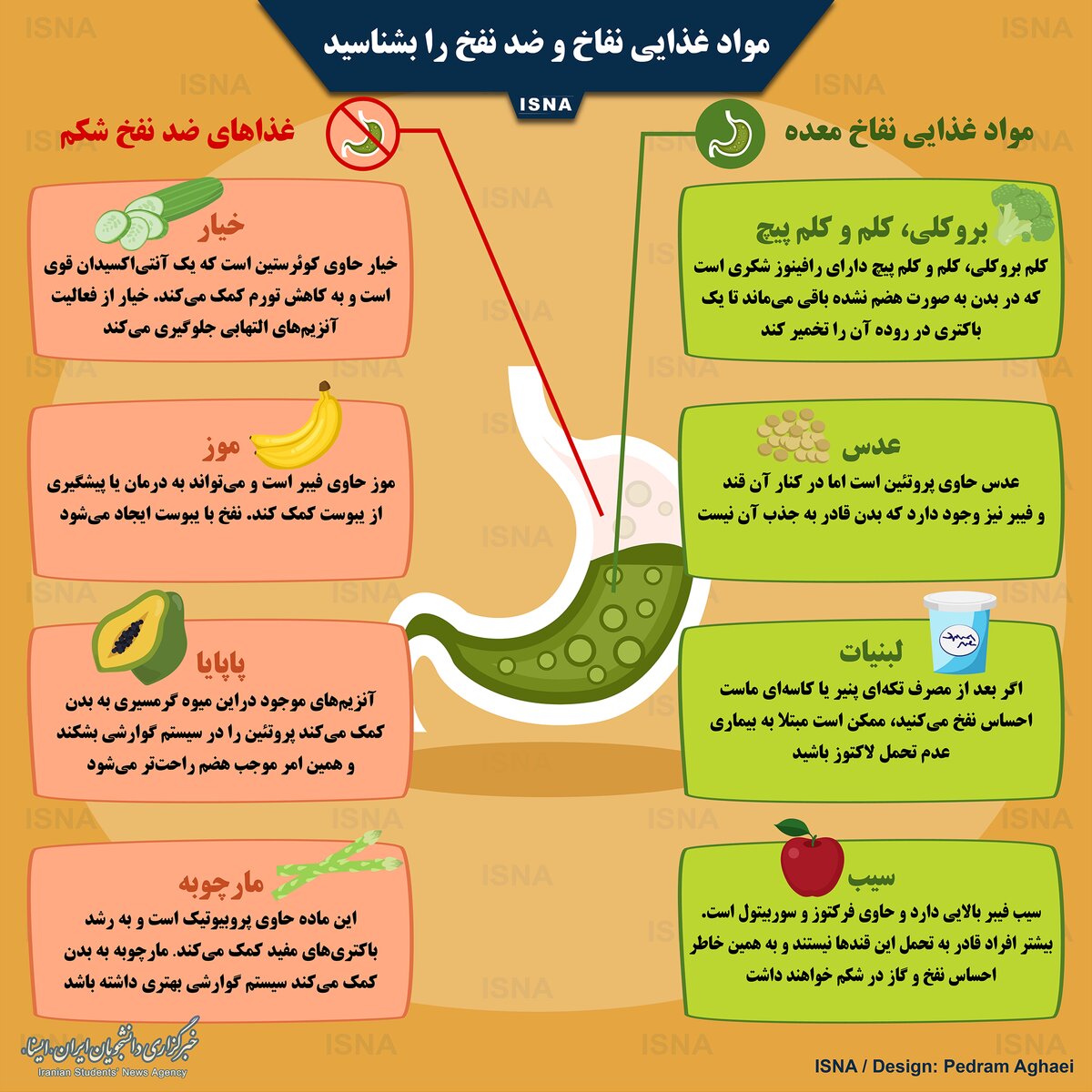اینفوگرافی/ مواد غذایی نفاخ و ضد نفخ را بشناسید
