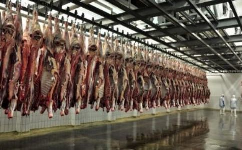 نجف آباد در مسیر تحول؛ فصل چهارم بهره برداری و افتتاح پروژه های شاخص شهرداری نجف آباد