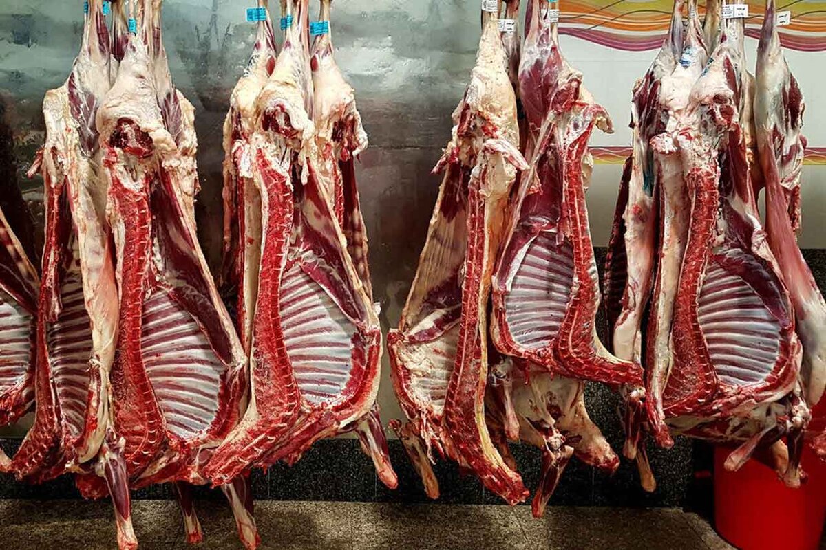 تمام واحدهای تولید دام و طیور در اصفهان فعال هستند