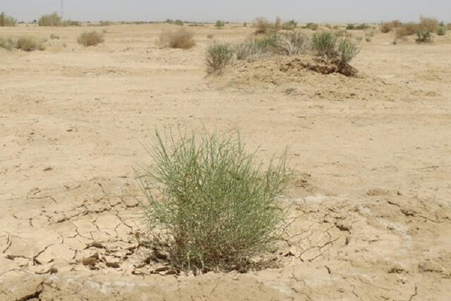 ائتلاف صنعت و منابع طبیعی برای نجات اصفهان؛ از تعهد ۱۵۰۰ هکتاری بیابان‌زدایی تا خلاء اعتبار ۷ هزار میلیارد تومانی