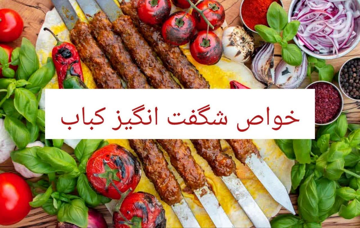 12 خواص شگفت انگیز کباب با مضرات، طبع و مصلح آن