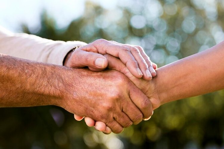 بی تو وال؛ بازار آنلاین تخصصی برای خرید و فروش محصولات کشاورزی و صنعتی در ایران