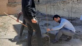 اقدام تحسین برانگیز قاضی برای حکم کاشت درخت 