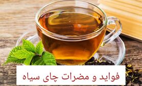 خواص و مضرات چای سیاه | فواید چای برای چشم، قلب، پوست و عوارض آن برای معده و کلیه