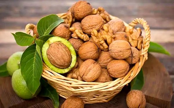 تعبیر خواب گردو|نماد ثروت، فرزند،علم یا هشدار؟ بررسی معبران