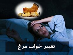 تعبیر خواب مرغ: از خوش شانسی تا خطر! (تفسیر کامل)