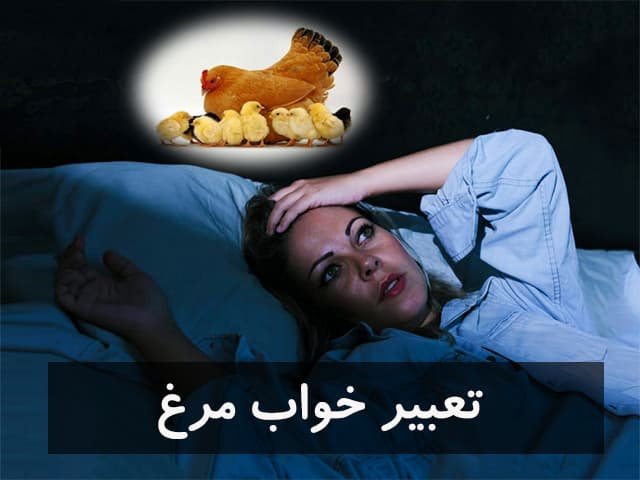 تعبیر خواب مرغ: از خوش شانسی تا خطر! (تفسیر کامل)