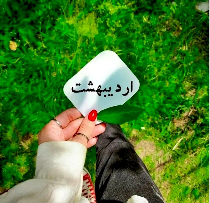40 عکس پروفایل اردیبهشت خاص و جدید 1404